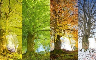 How’s the end of winter going for you?